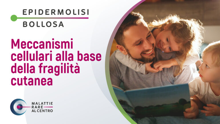 Meccanismi cellulari alla base della fragilità cutanea